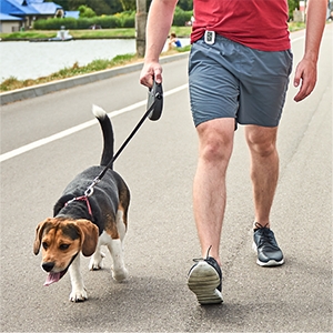 Lead an active lifestyle. Walking is the most effective activity you can do for your health.