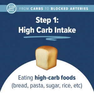 step 2: liver converts excess sugar into fat. this process is called de novo lipogenesis