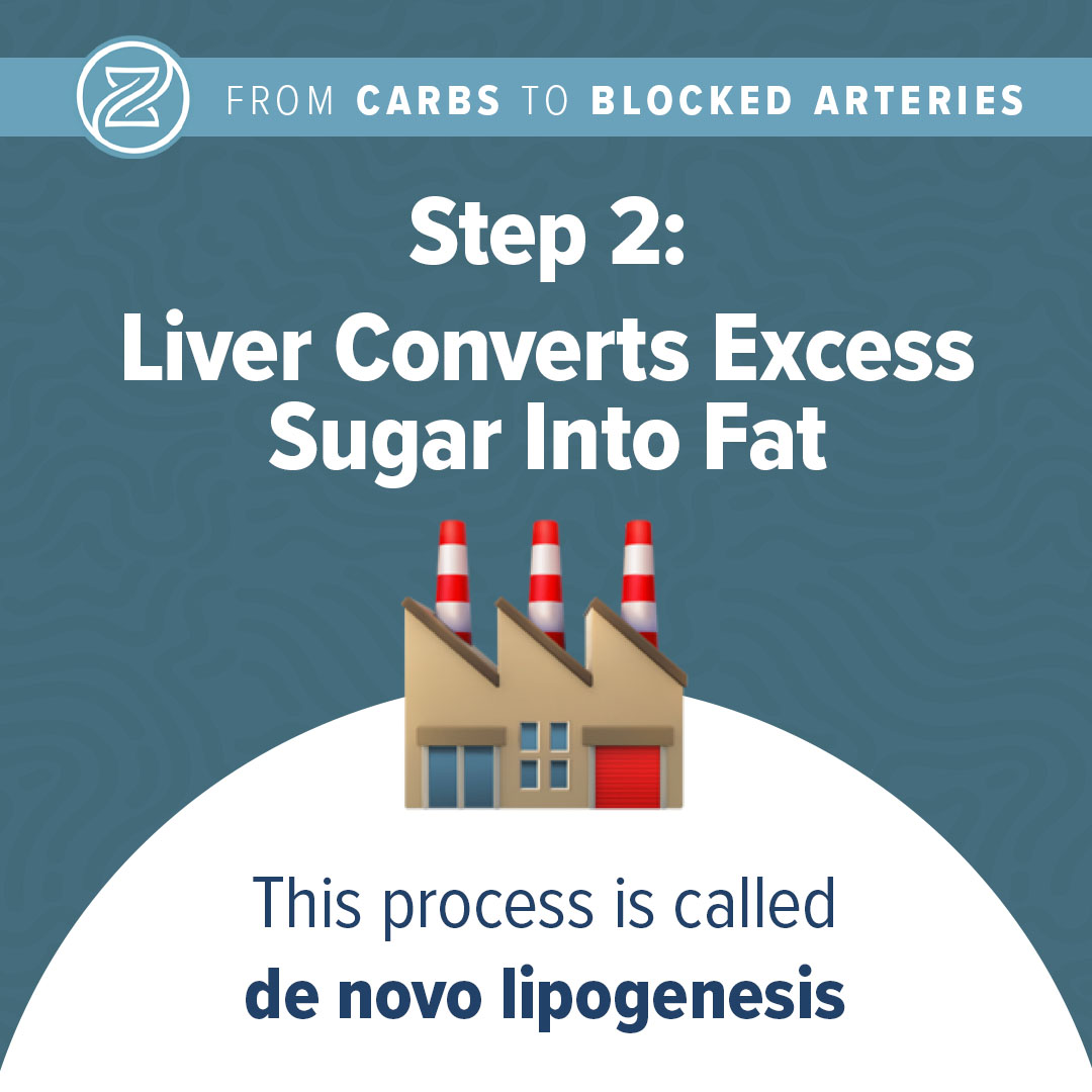 step 2: liver converts excess sugar into fat. this process is called de novo lipogenesis