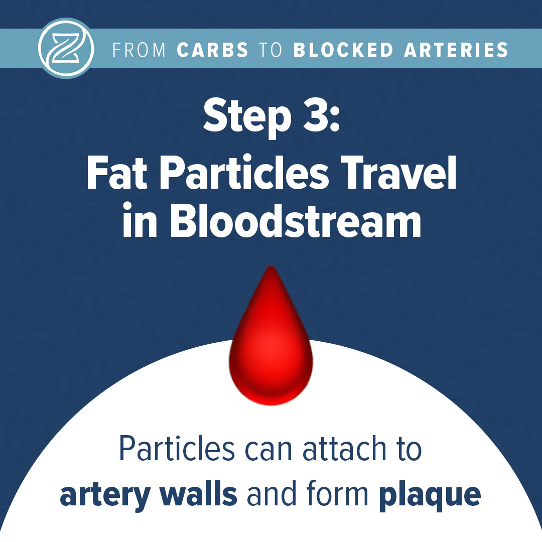 fat particles travel in bloodstream. particles can attach to artery walls and form plaque